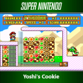 Yoshi's Cookie.png
