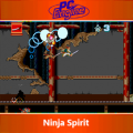 Ninja Spirit.png