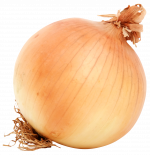 164056-onion-free-transparent-image-hd.png