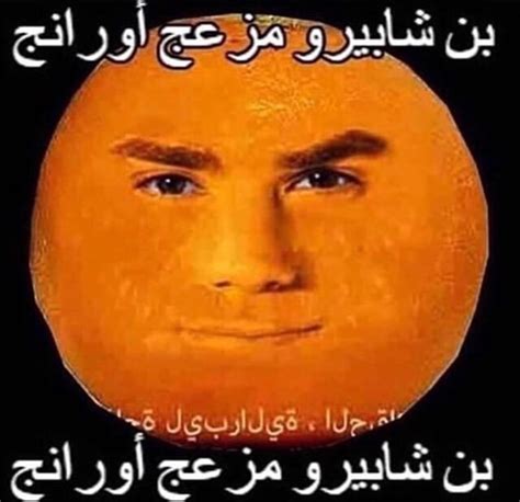 1000000088.jpg