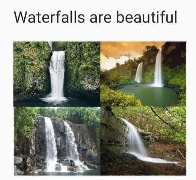 1000008440.png