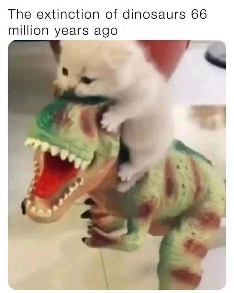 1000015922.jpg