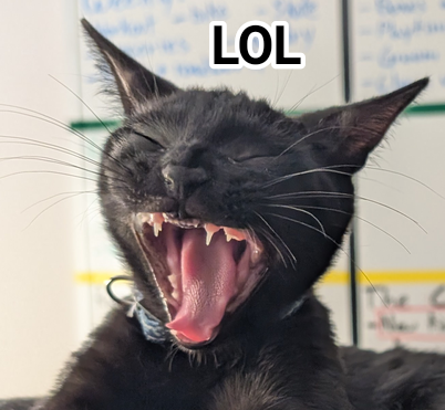 1000022623.png