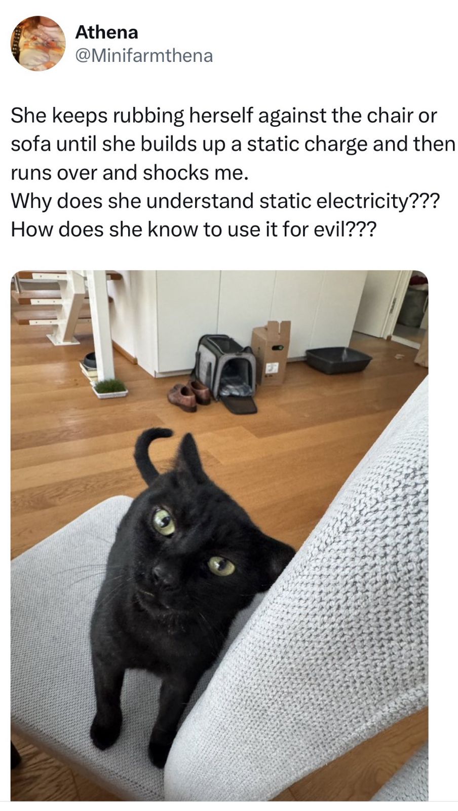 1000023927.jpg