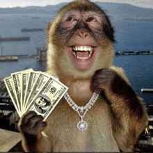 1000026585.gif