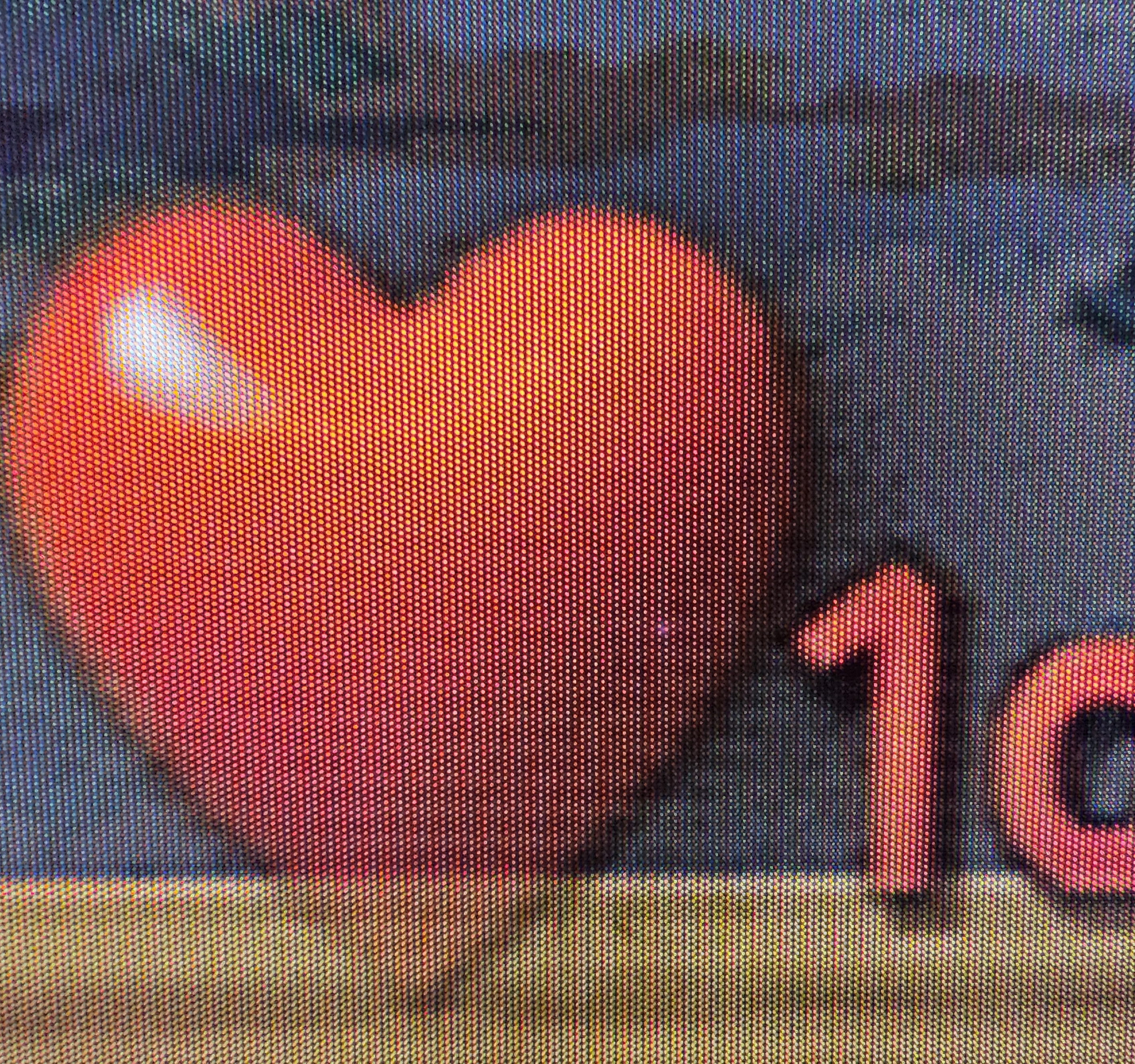 1000032445.jpg