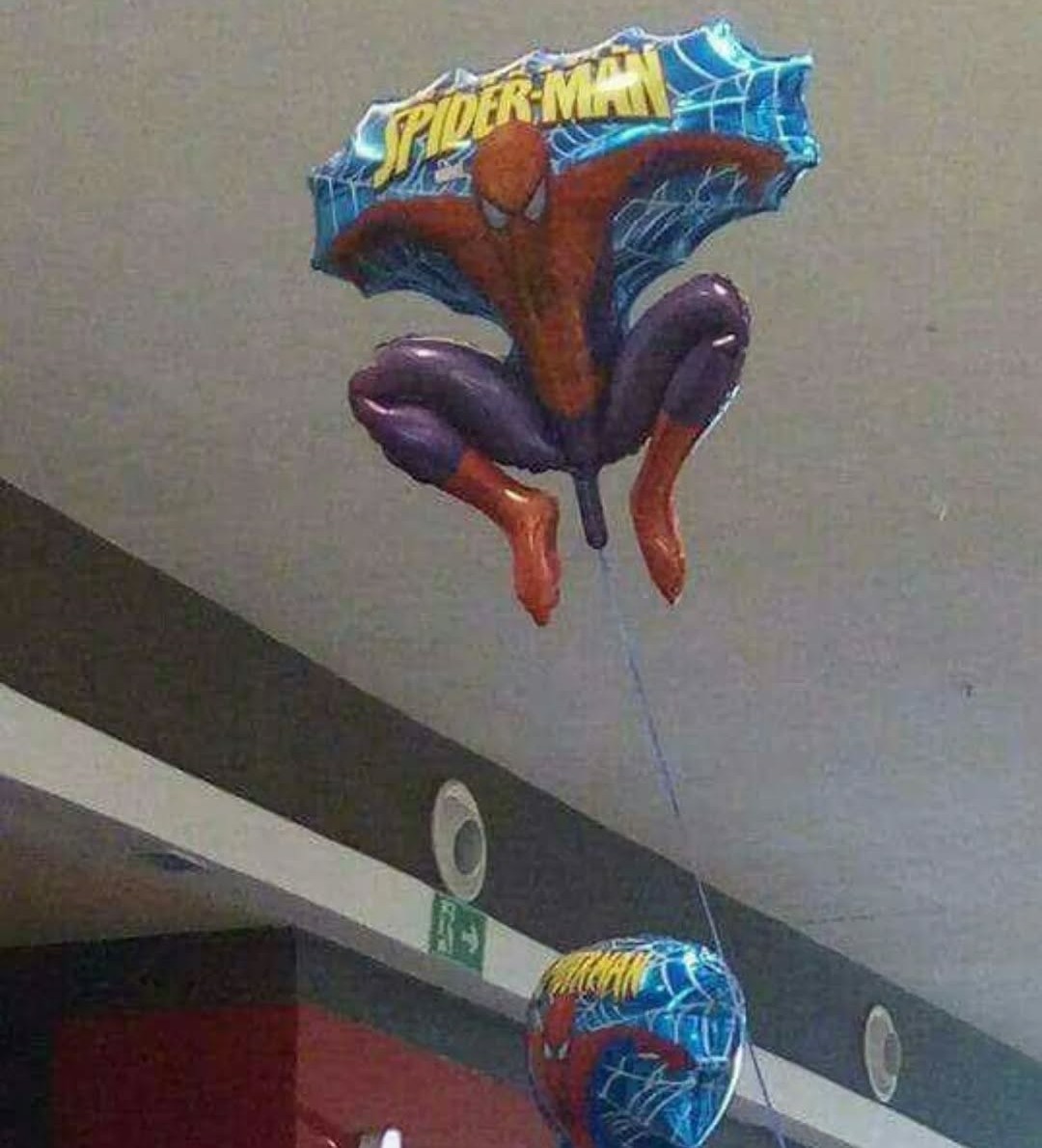 1000044061.jpg