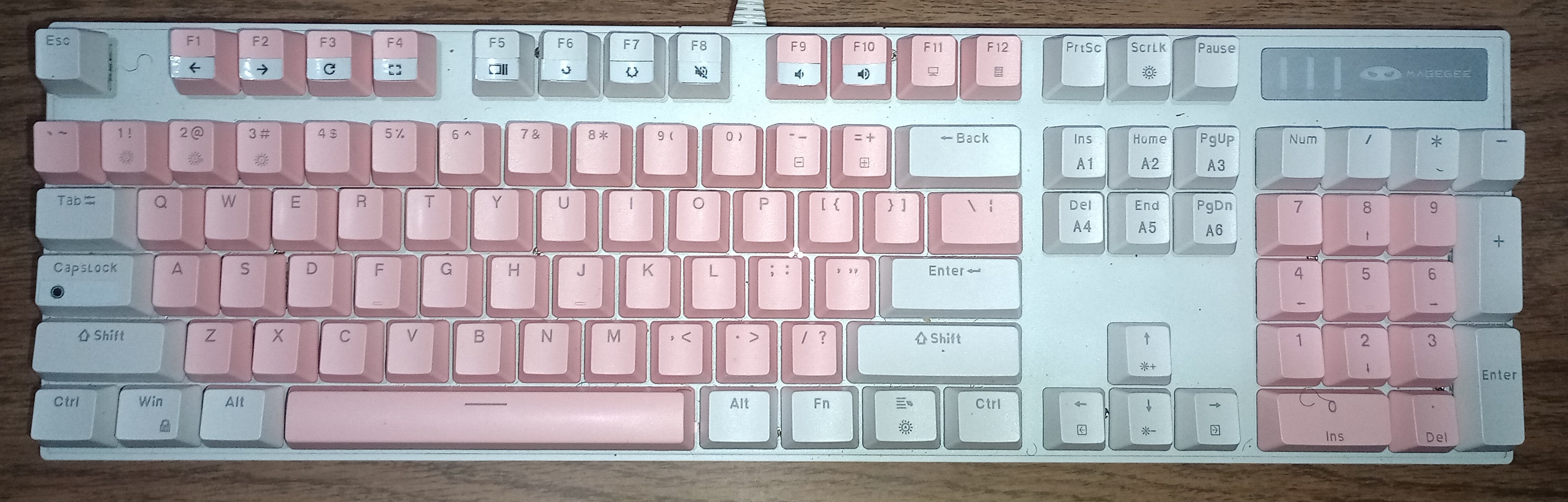 1000131000.jpg