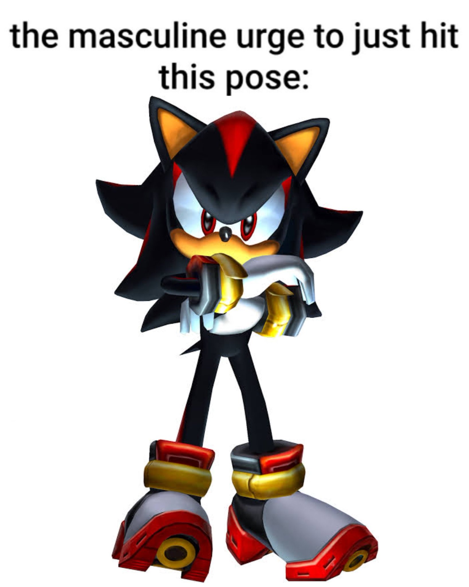 1000158632.jpg