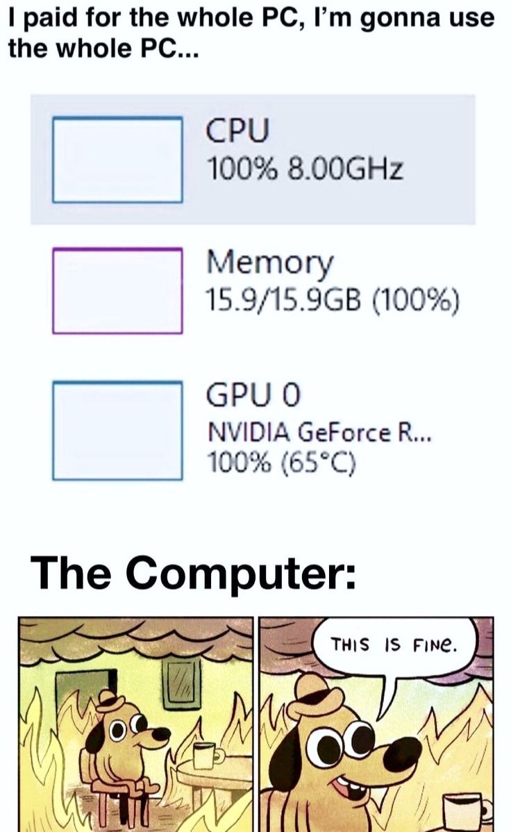100_-pc.jpg