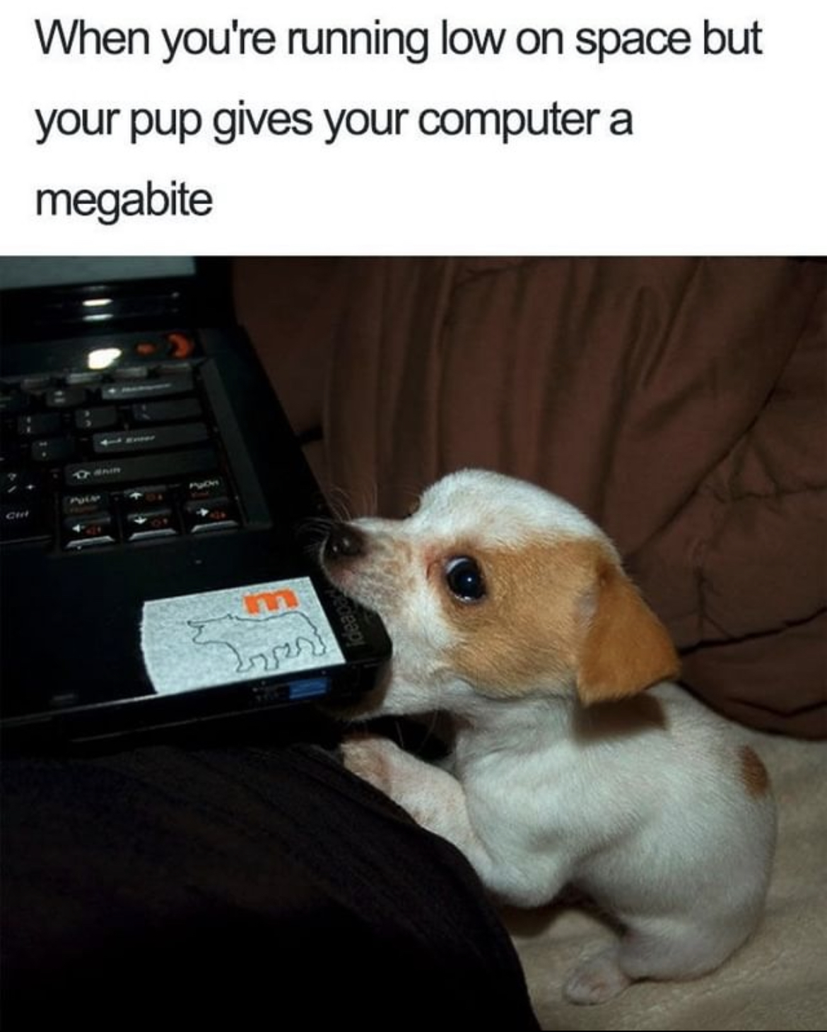 124C05E4-8952-4E20-B112-18A84852E892.jpeg
