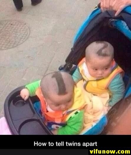 12twins.jpg