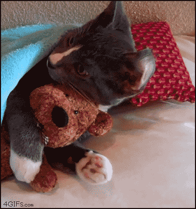 1404539935217.gif