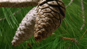 1413309710337.gif