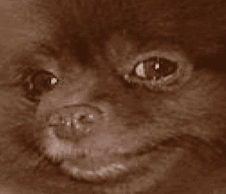 1472582954972.png