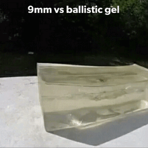 1502094736239.gif