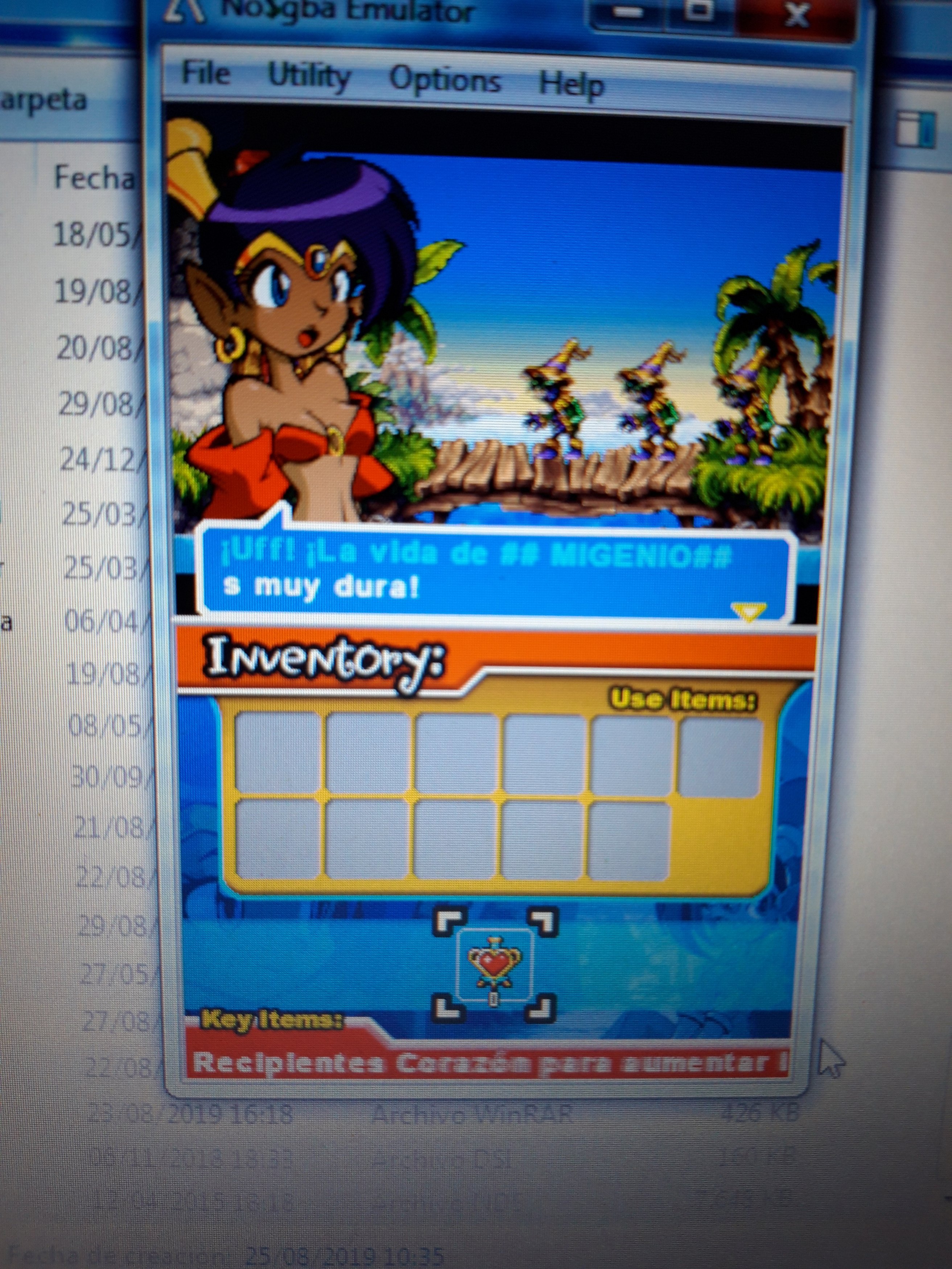 Shantae Risky's Revenge issues in Spanish Translation (DSI-Ware) |  GBAtemp.net - The Independent Video Game Community