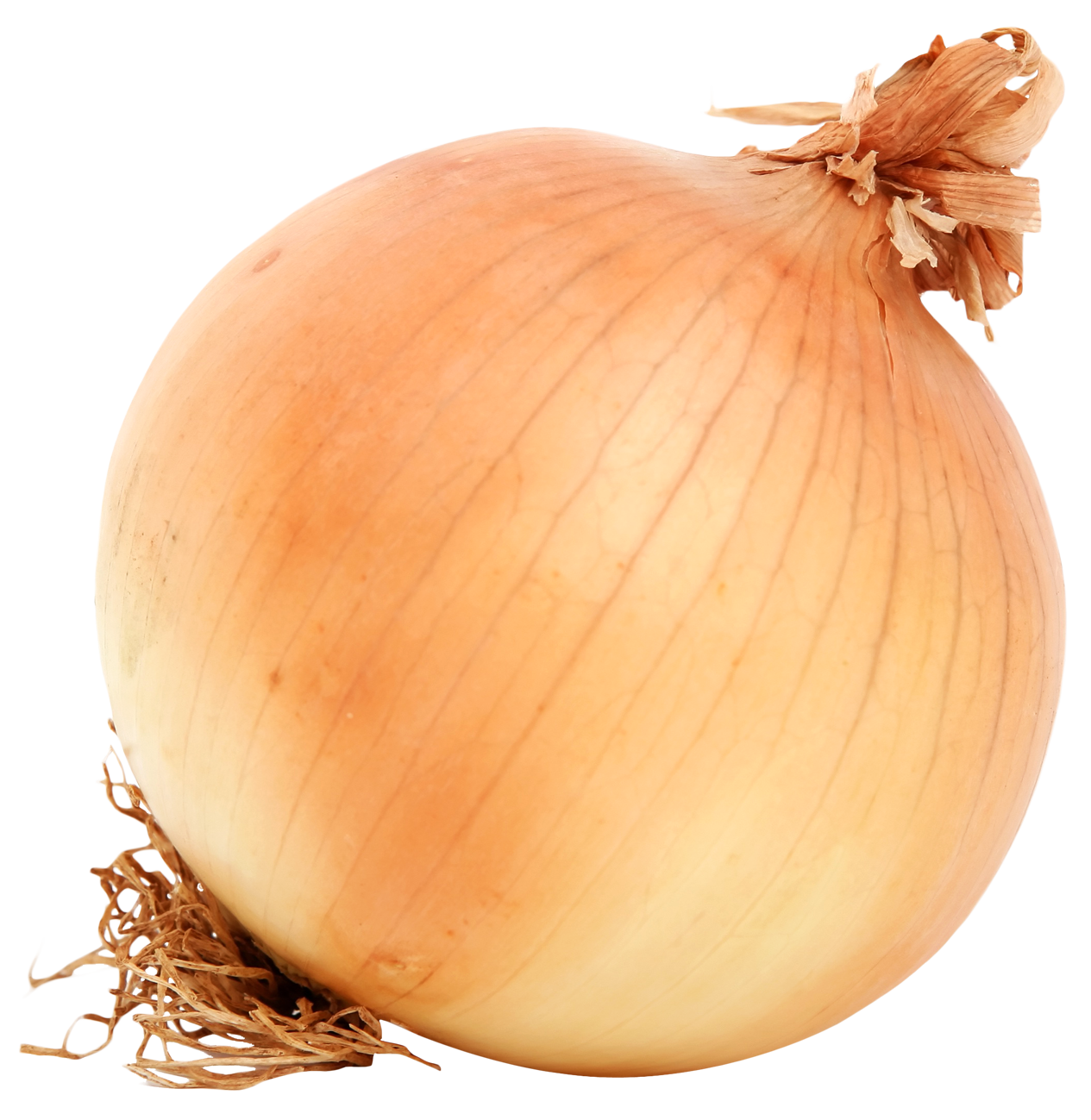 164056-onion-free-transparent-image-hd-png.373228