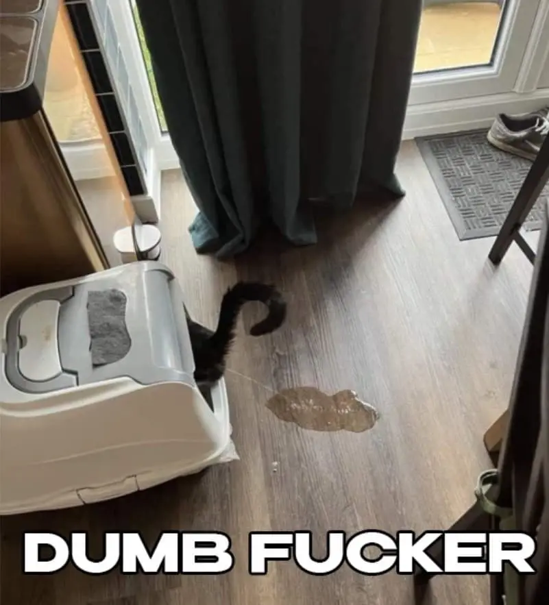1659209871564.png