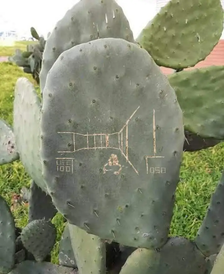 1659761684468.png