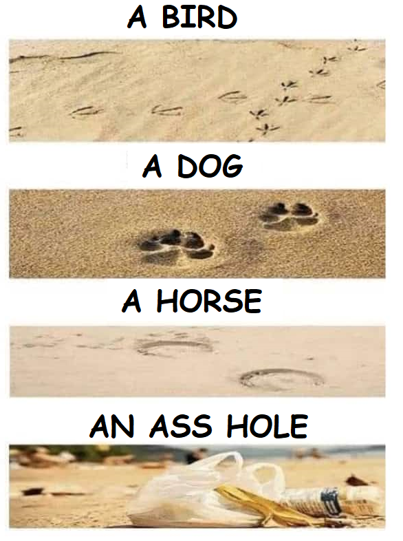1660690980029.png