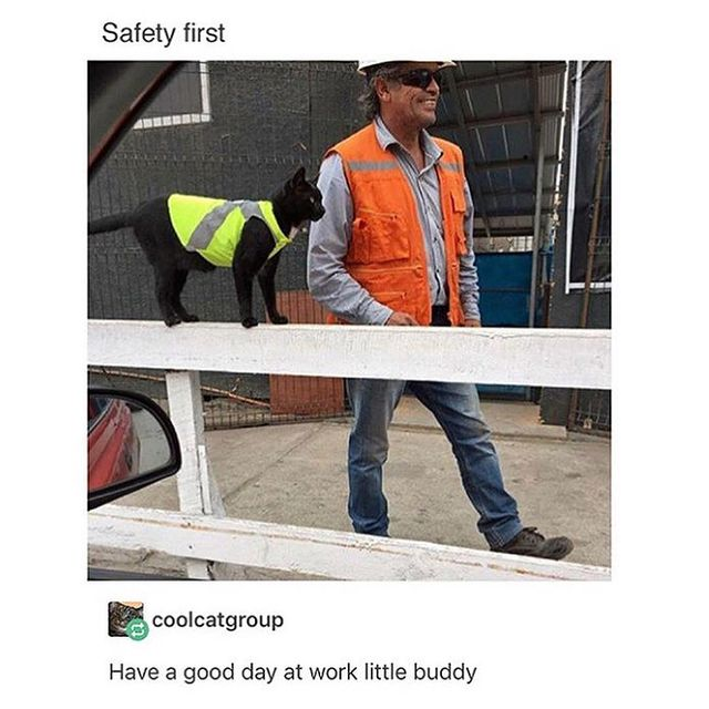 1661175010906.png