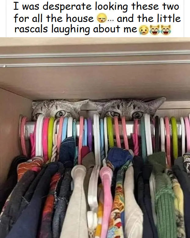 1661787469502.png