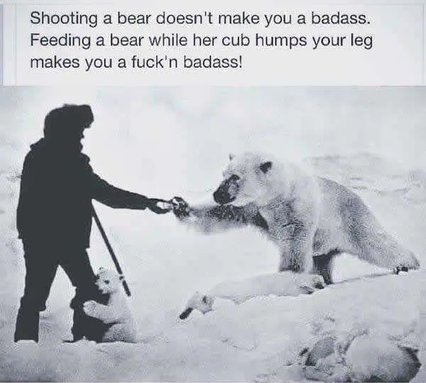 1663013253436.png