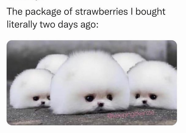 1664358060725.png