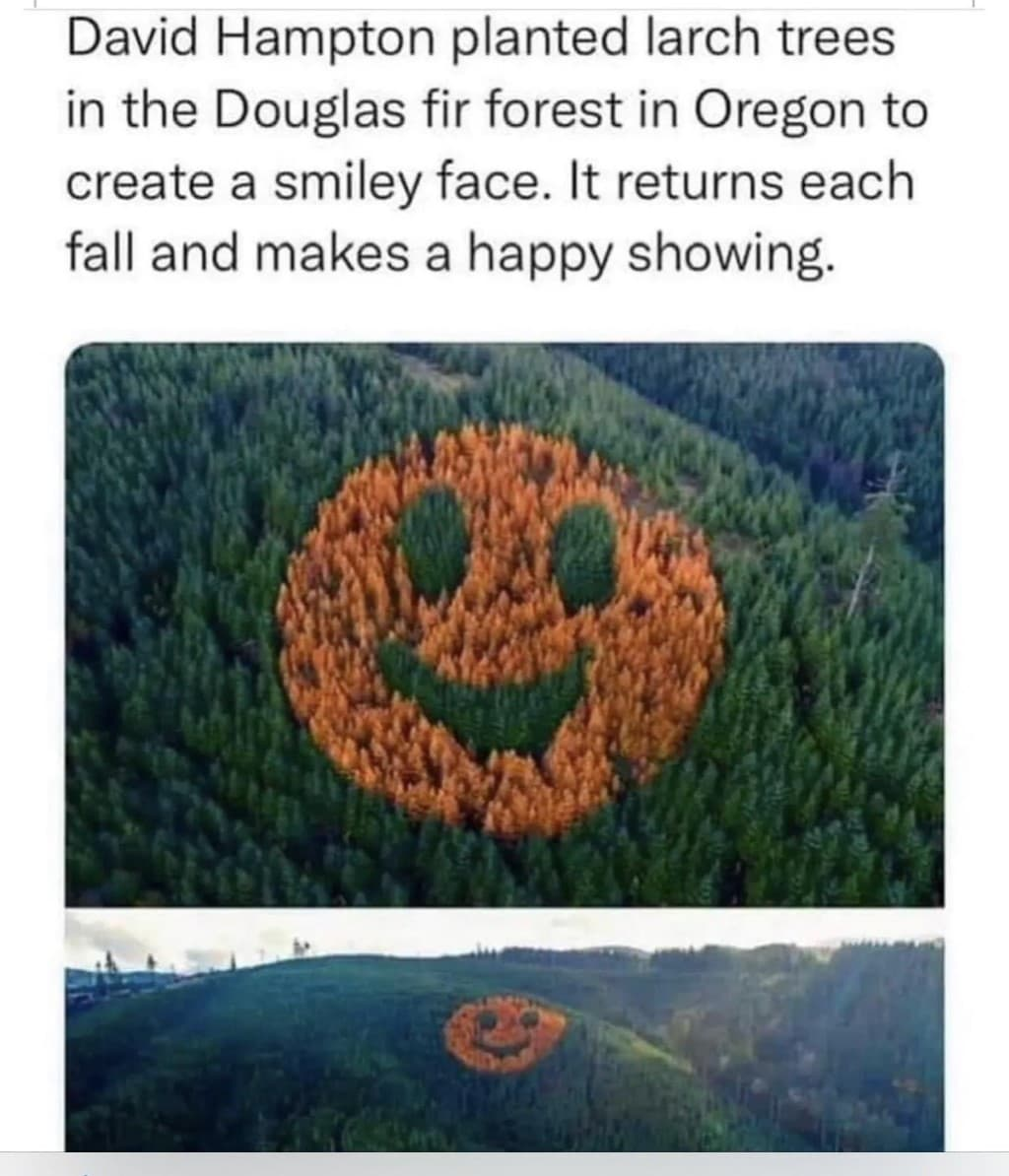 1667936810832.png