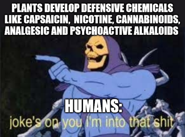 1668598319962.png