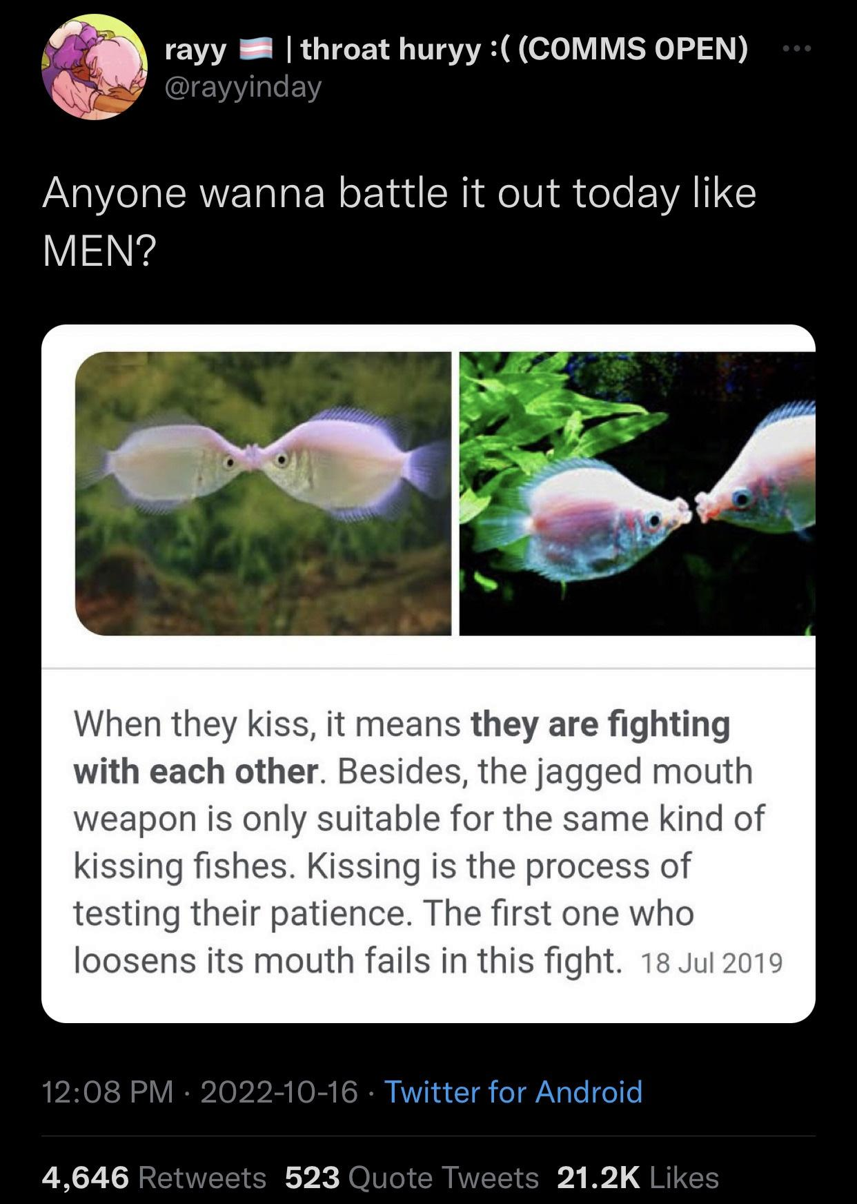 1669024363388.png