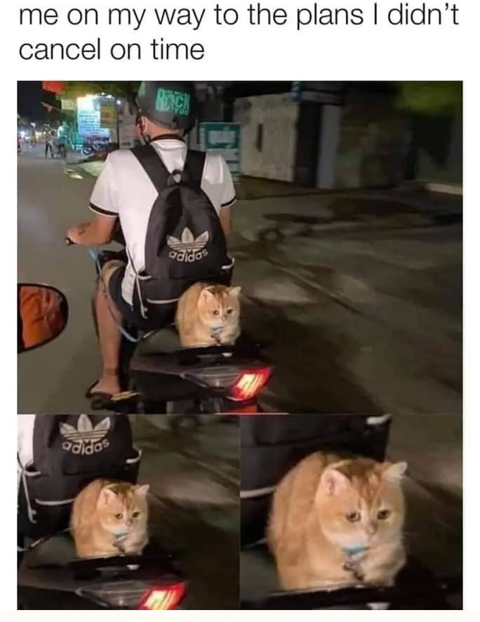 1669154389531.png
