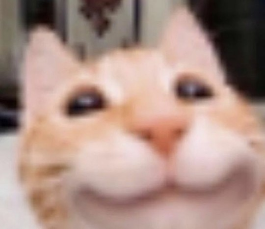 1673310498362.png