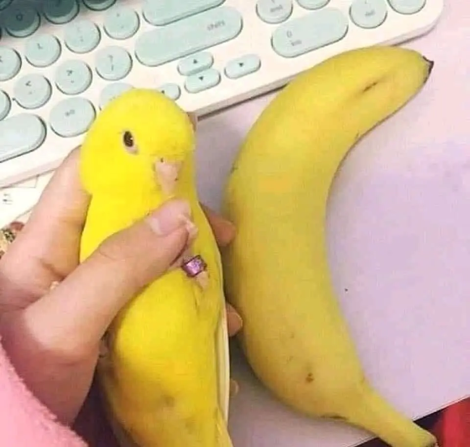 1675470975071.png
