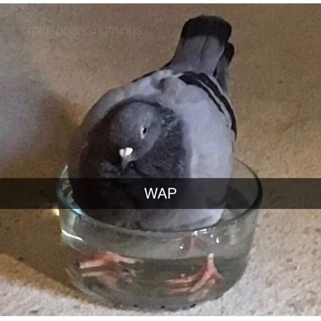 1678442232081.png