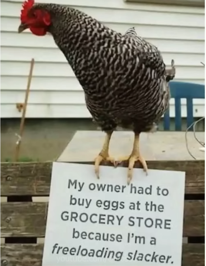 1678469443196.png