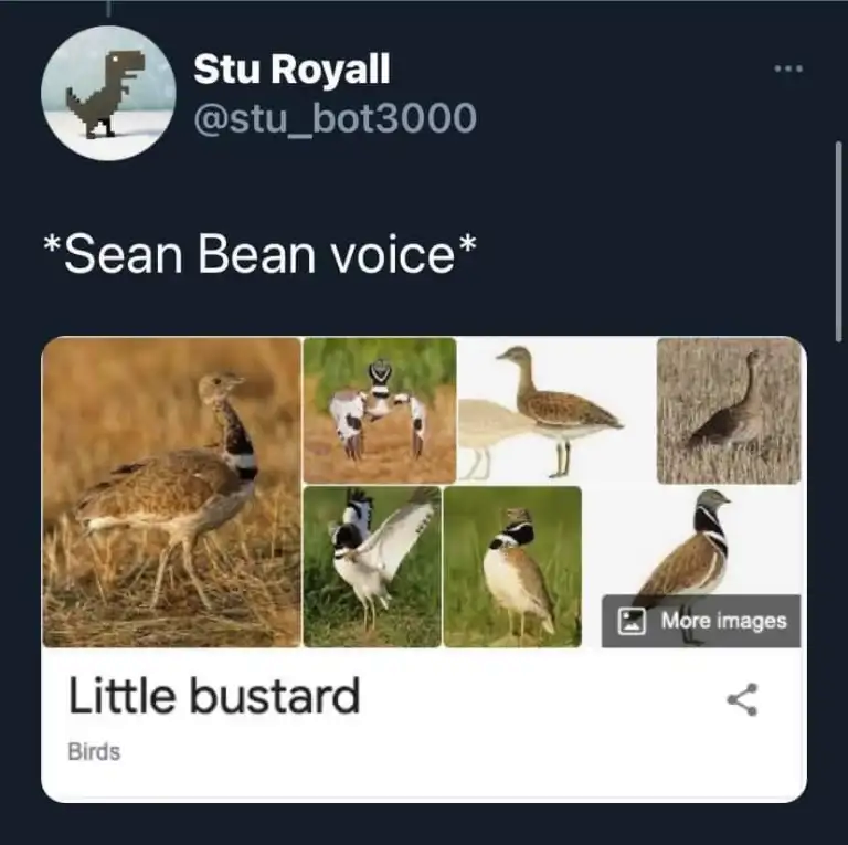 1678708757367.png