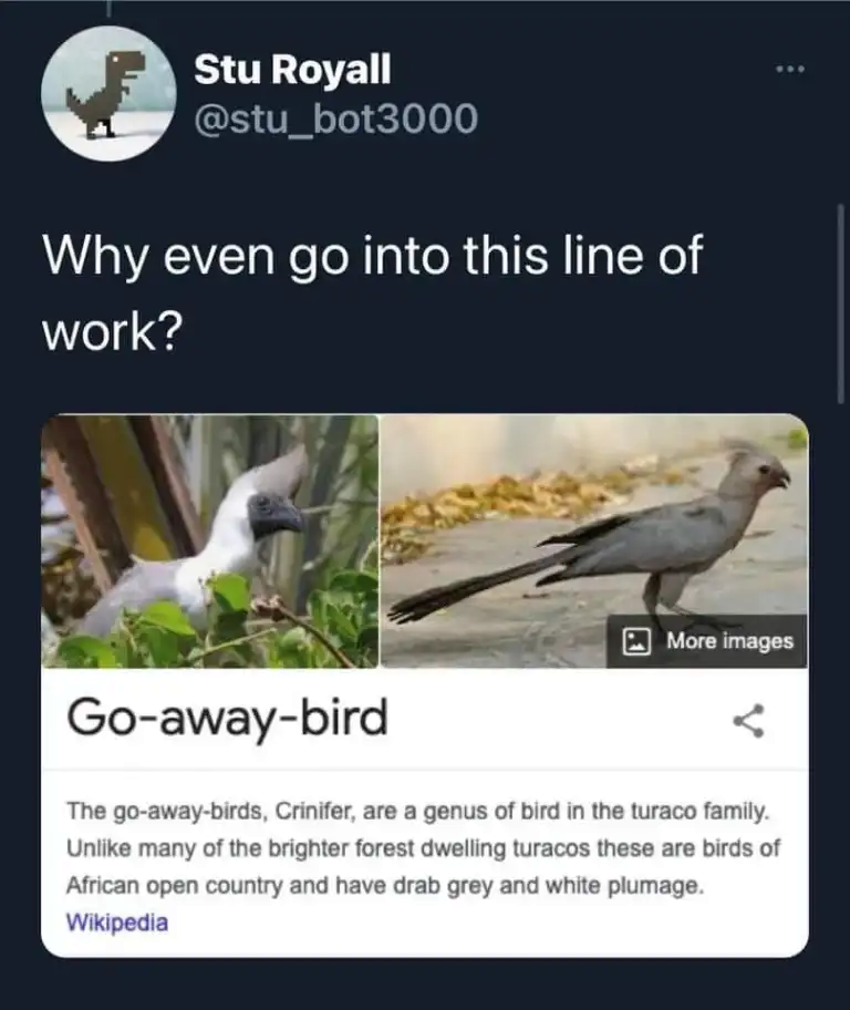 1678708766515.png