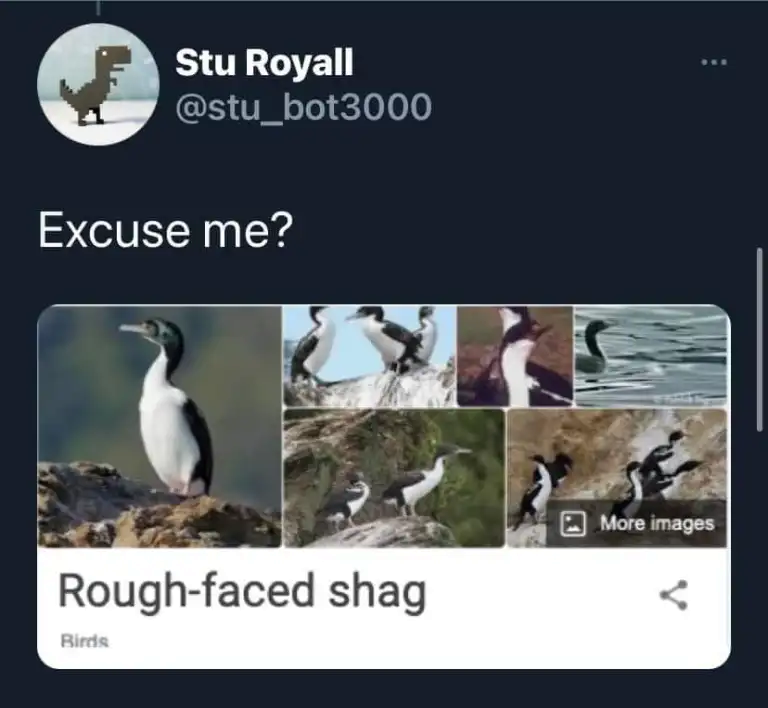 1678708774751.png