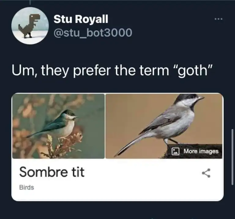 1678708792395.png