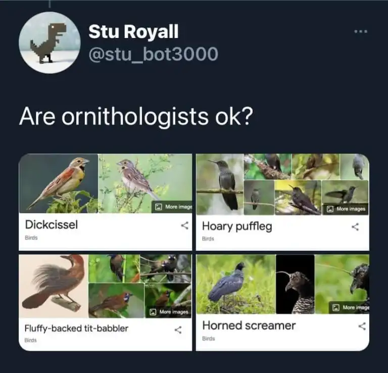 1678708802426.png