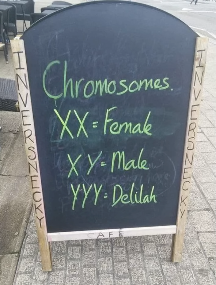 1678740230995.png