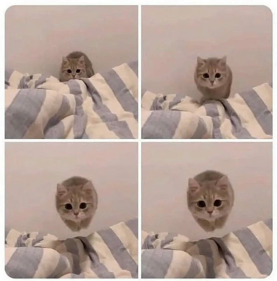 1679257976825.png