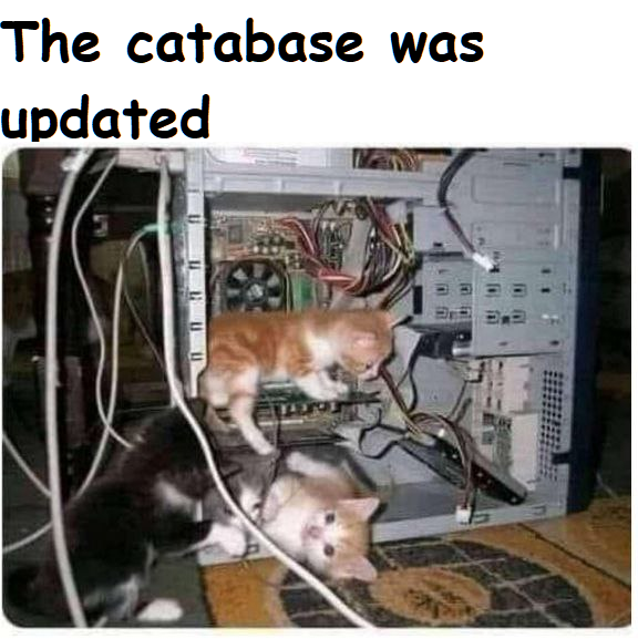 1680987445273.png