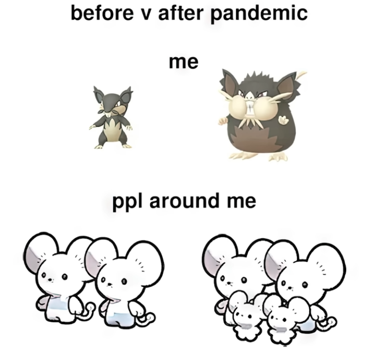 1681441548732.png