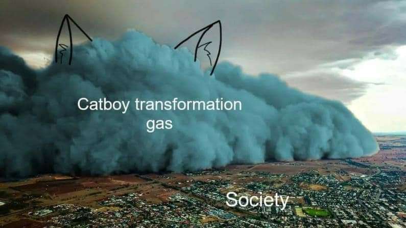 1683436714180.jpeg