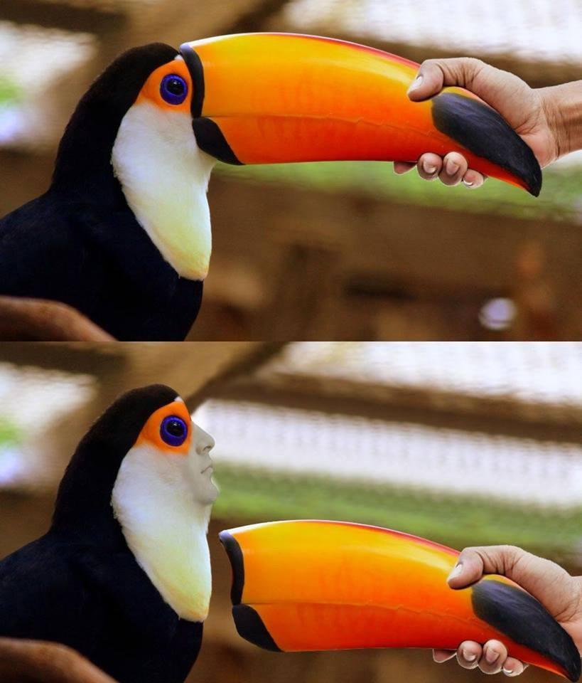 1684037752996.png