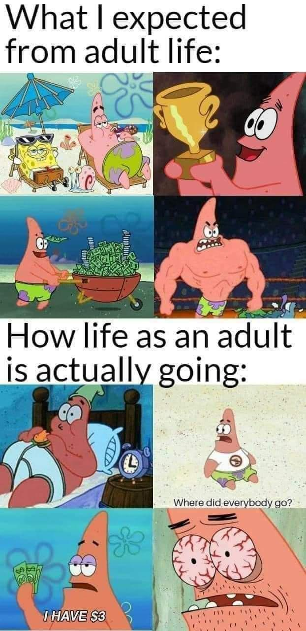 1685107940767.png