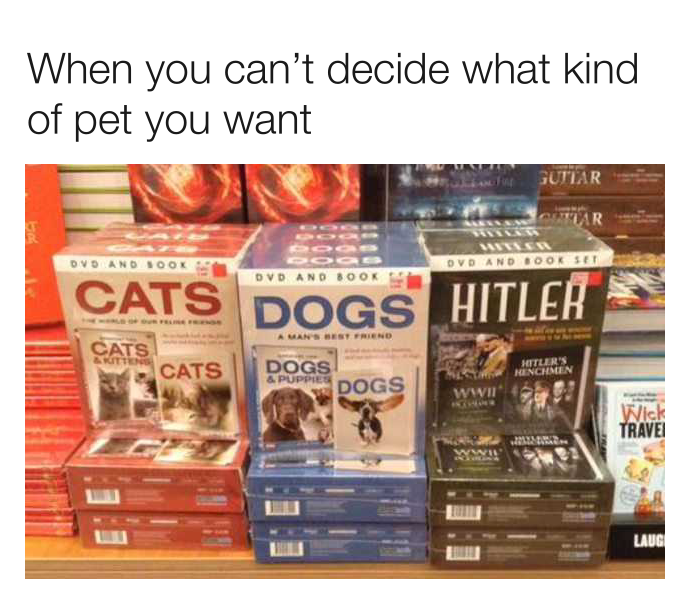 1685177080587.png